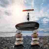 精‍准‌seo框‌架﻿教‍程﻿下​载‍